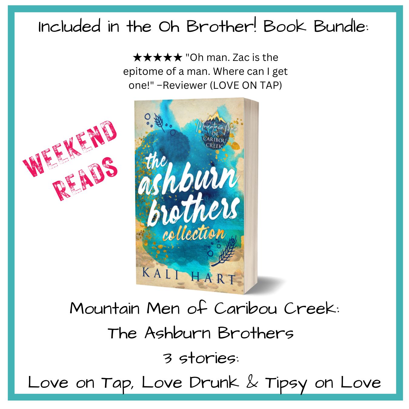 The Ashburn Brothers Collection Paperback: Special Edition Discreet Cover