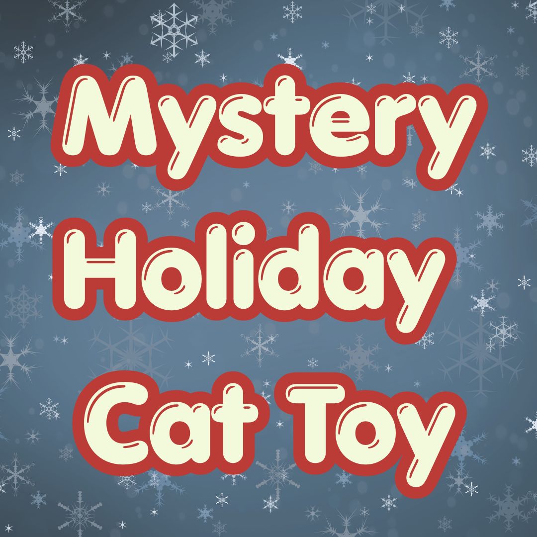 Cat Toy - Mystery Holiday Edition