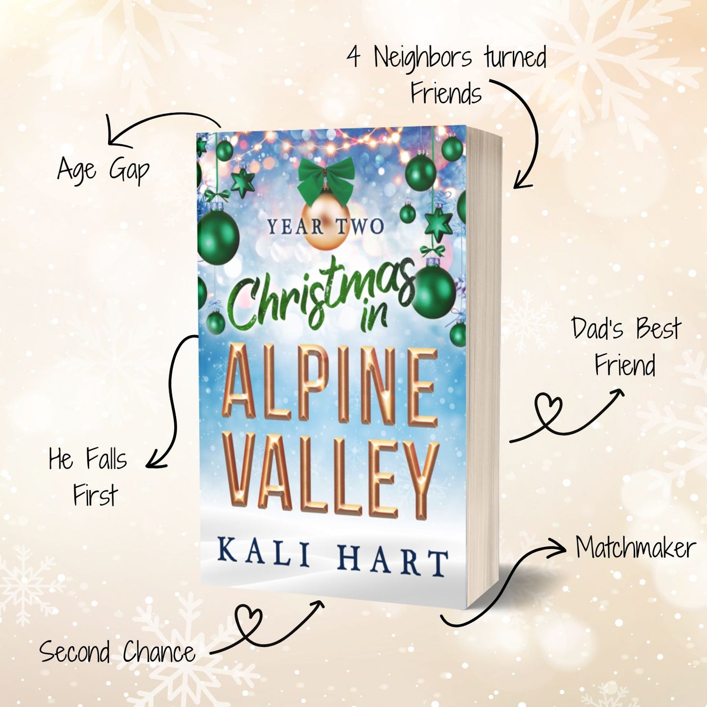 Christmas in Alpine Valley Paperback Bundle