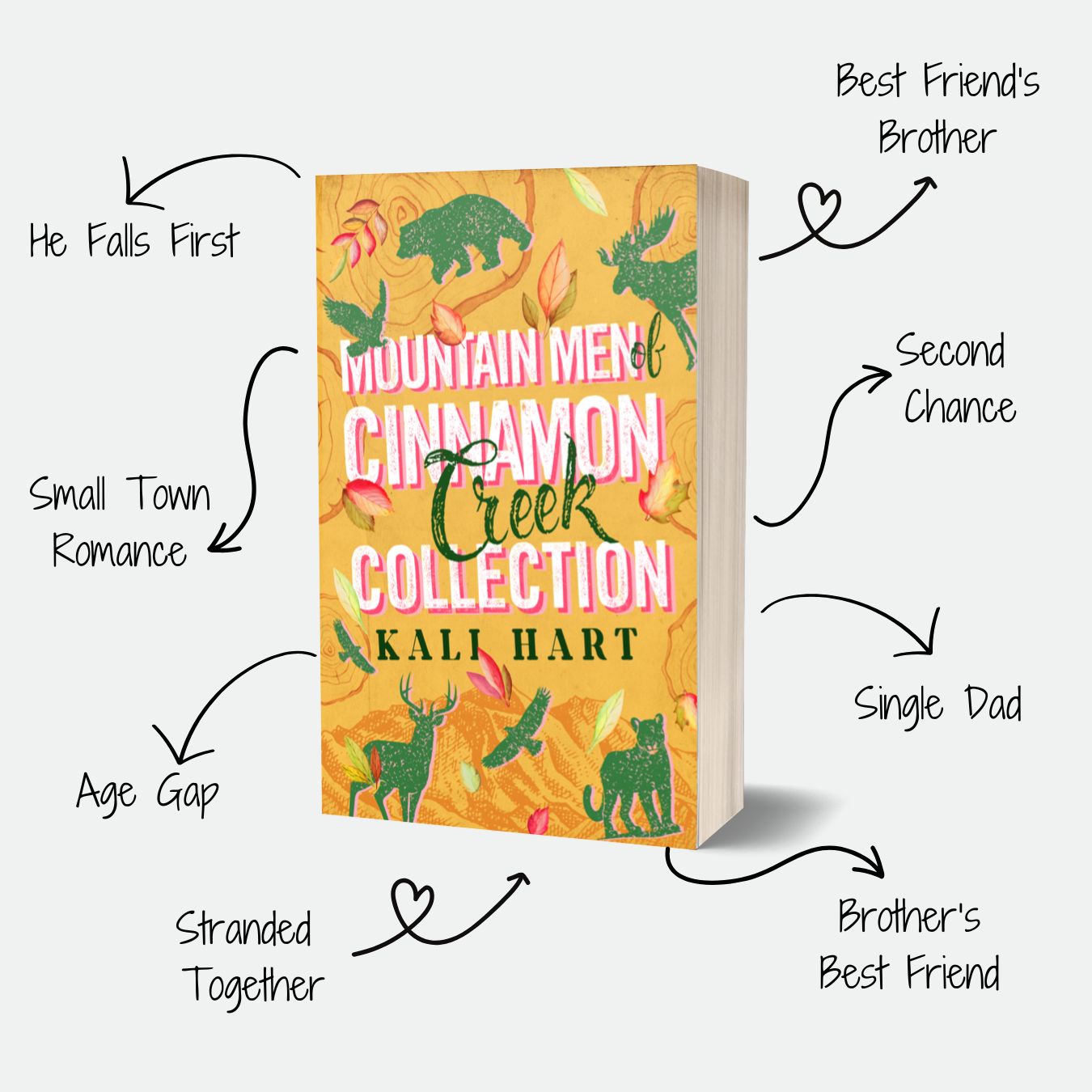 Mountain Men of Cinnamon Creek Series (E-Book)