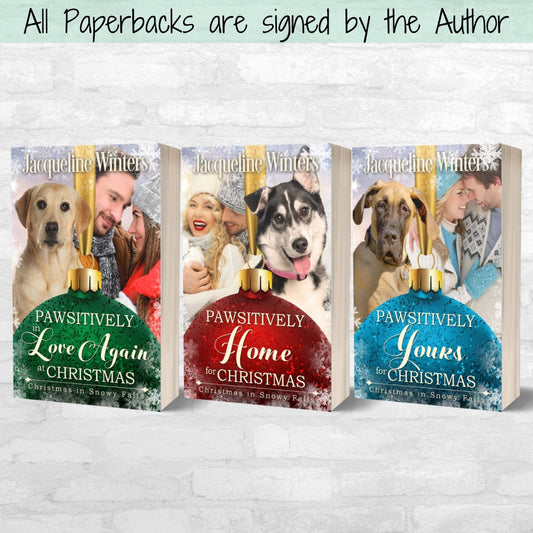 Christmas in Snowy Falls Book Bundle (Paperback)