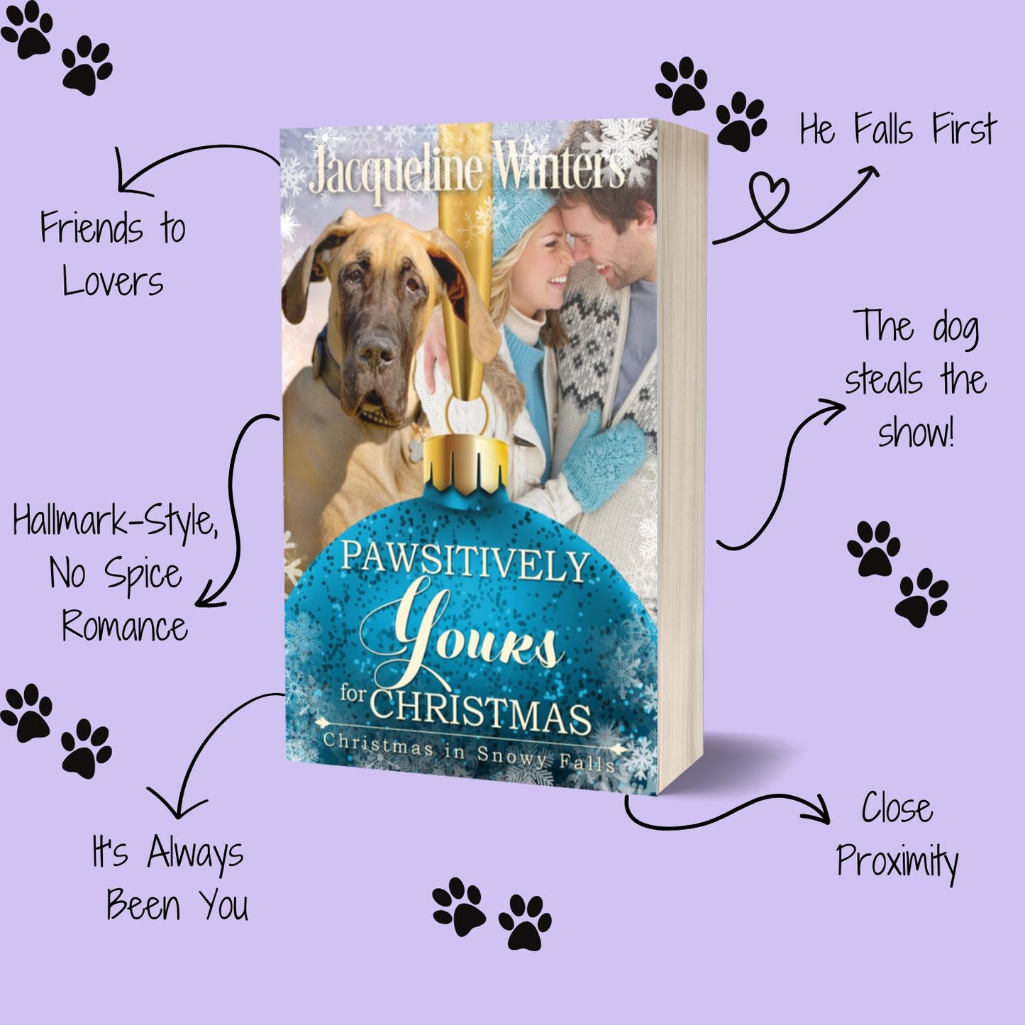 Christmas in Snowy Falls Book Bundle (E-Book)