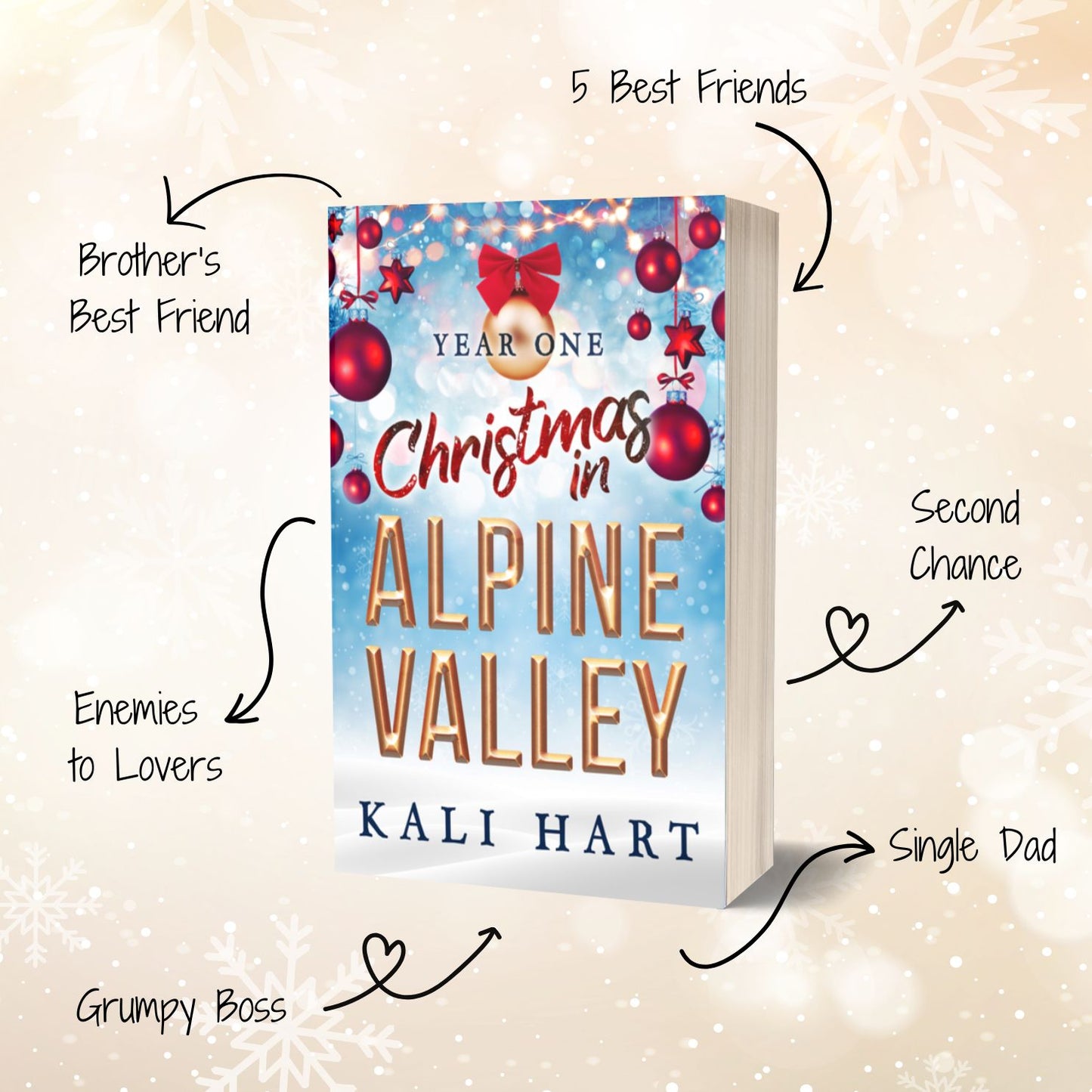 Christmas in Alpine Valley Paperback Bundle